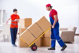 Movers’ Toolbox: Essential Resources for Every Move
