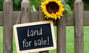 Guide To Buy Land: Essential Tips For Smarter Investments