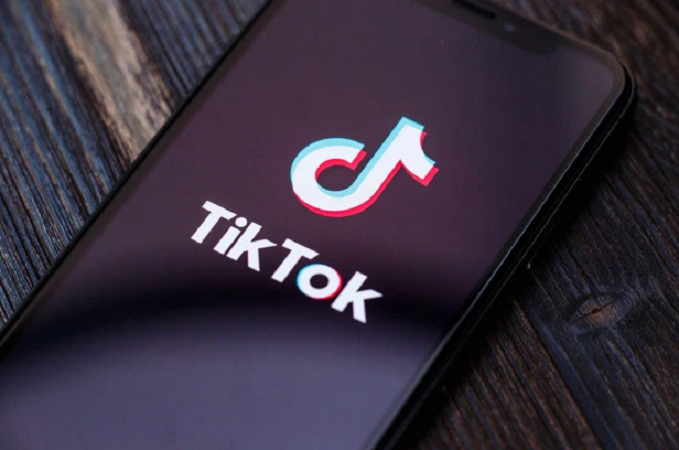 Snaptik Review: Tips For Using This Tiktok Downloader
